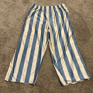 Dream USA Harlem Mens L Tear Away Warm Up Pants Blue White Striped Retro Vintage